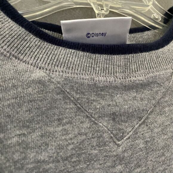 Disneyland Resort Sweatshirt Youth XL Gray Embroidered Tigger Disney Winnie Pooh - Picture 10 of 14